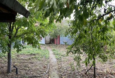 Sat Tatarai, zona Scrovistea - 2