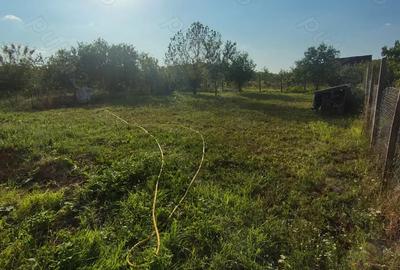 Vand casa mare in Agri?ul Mare - 3