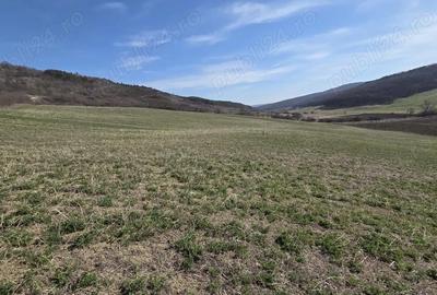 Teren de 600 mp, în Central - 1