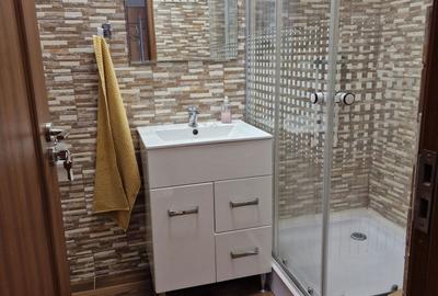 Apartament cu 2 camere decomandat în Palazu Mare - 6