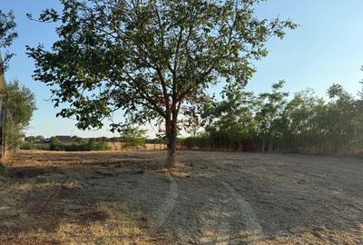 Teren Construcții intravilan de 2192 mp, în Seceani