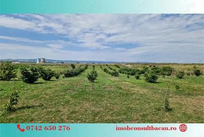 Un colt de rai pe-un picior de plai! CE1210 - 3