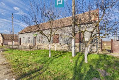 Spațiu comercial, de 225 mp, în Sânandrei - 19