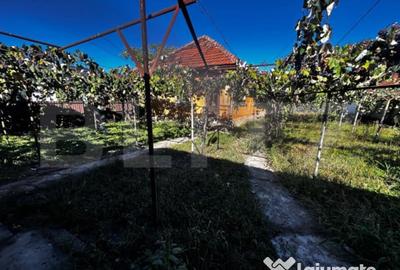 Casă cu 3 camere cu Teren 1173 Mp în Debarcader - 6