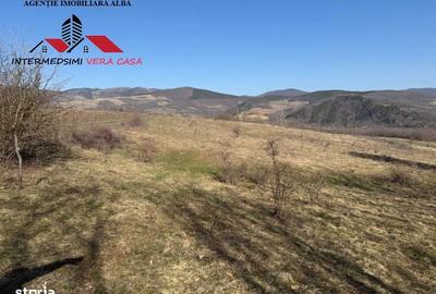 Spațiu comercial, în Pârău lui Mihai - 2