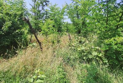 Teren în Central - 8