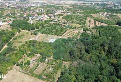 Teren de 1500 mp, în Paleu