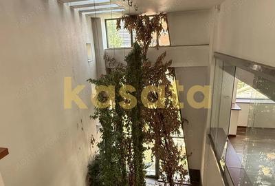 Vanzare teren 1484 mp ?oseaua Nordului ?i vila renovabila - 8