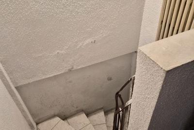 De vânzare Vilă individuala 11 camere curte proprie Parcul Carol - 40