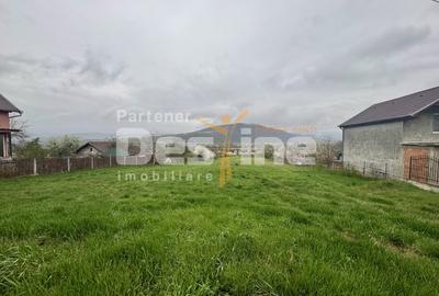 Teren Construcții intravilan de 2915 mp, în Vețel