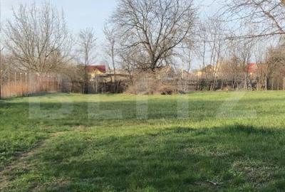 Casă cu 4 camere cu Teren 2700 Mp în Central - 8