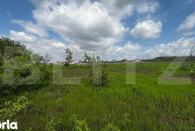 Teren de 990 mp, în Cârcea - 3