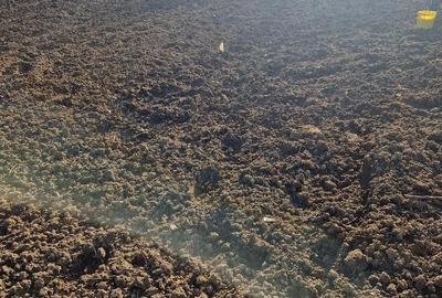 Casă cu 3 camere cu Teren 1500 Mp în Bala - 2