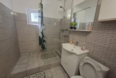 INCHIRIERE-APARTAMENT 2 CAMERE-DECOMANDAT - 8