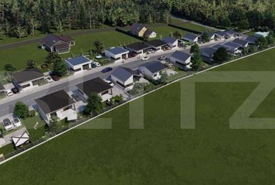 Case de vanzare - zona Viile Satu Mare - 13