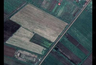 Teren de 50000 mp, în Jelna - 5