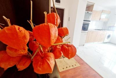 Apartament cu 2 camere decomandat în Craiter