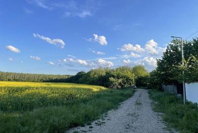 Teren de 7500 mp, în Ciolpani