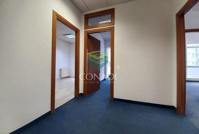 Birou de inchiriat // Domenii // Mihalache - 6