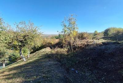 Teren Intravilan | Sat Gheorghieni, Cluj | 1440 mp | Investitie - 6