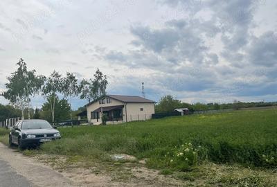 Teren de 2500 mp, în Berceni - 3