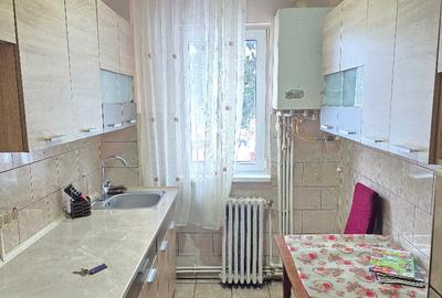 Inchiriez apartament cu 2 camere in Deva, zona Crisului, parter, - 2