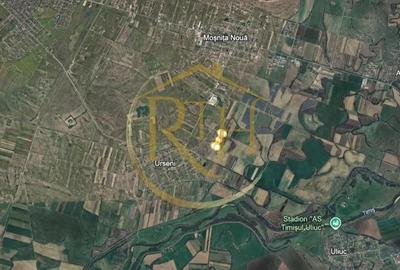 Teren de 12406 mp, în Urseni - 4