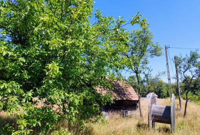 2500 mp TEREN INTRAVILAN MUNTII APUSENI, Negreni – Cluj, E60 - Mal Crisul Repede - 23