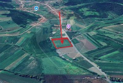 Teren de 17250 mp, în Moșna - 1
