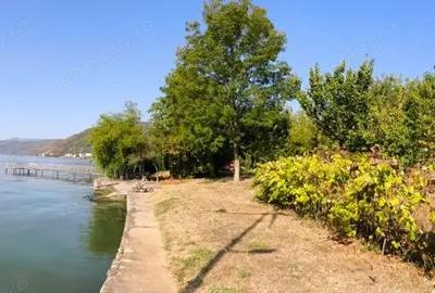 Afacerea Ideala- Vila cu deschidere la Dunare 50 ml cu Ponton amenajat, ESELNITA - 2