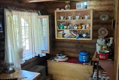 Vand cabana Valea Ariesului - 5