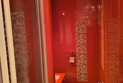 Apartament cu 2 camere decomandat în Tei - 7