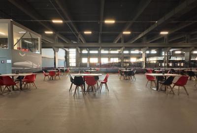 Spatiu 4200mp, zona Carrefour Felicia - 3