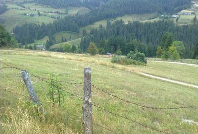 Teren intravilan Arieșeni - 3