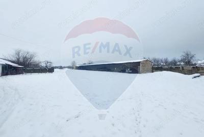 Casă cu 5 camere cu Teren 7531 Mp în Sacu - 2