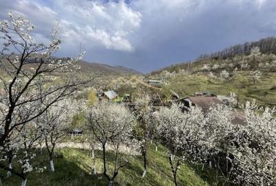Casa de vacanta**Panorama spectaculoasa//Provita de Jos_Prahova - 5