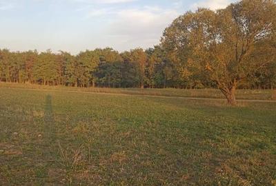 De vanzare teren extravilan langa Arcus - 3