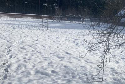 Vanzare 2 case tradi?ionale, 3 camere + teren, 3450 mp, Ca - 21