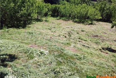 Teren de 290 mp, în Bârnova - 4