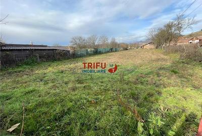 Casa 3 camere de vanzare in comuna Cricau cu 1200 mp teren - 2