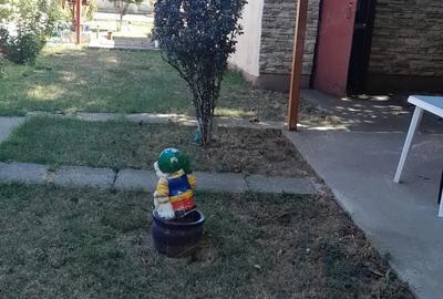 Casă în Tunari - 5