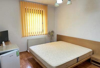 Proprietar! Inchiriez imobil 1 Camera+centrala termica. Pret 300 euro - 4