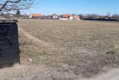 Teren de 2325 mp, în Prejmer - 3