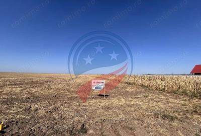 Teren de 5041 mp, în Pielești - 1