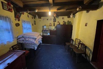 Casă cu 2 camere în Fizeș - 13