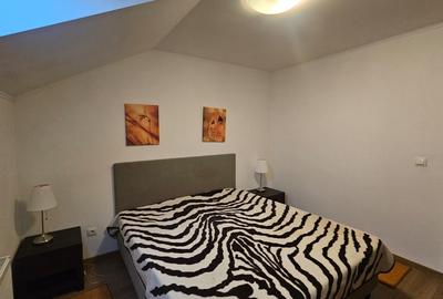 Apartament cu 2 camere semidecomandat în Cetate - 5