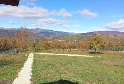 Casă cu 4 camere cu Teren 6240 Mp în Valea Mare - 4