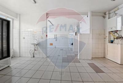 Spațiu comercial, de 207 mp, în Mioriței - 14