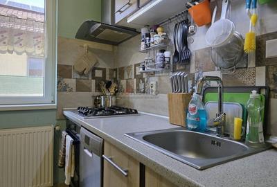 Vila Cocheta, Complet Mobilata si Utilata – Domnesti - 4