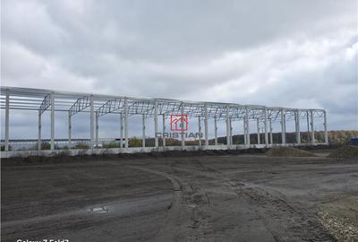 Spațiu comercial, de 2,900 mp, în Mogoșoaia - 3